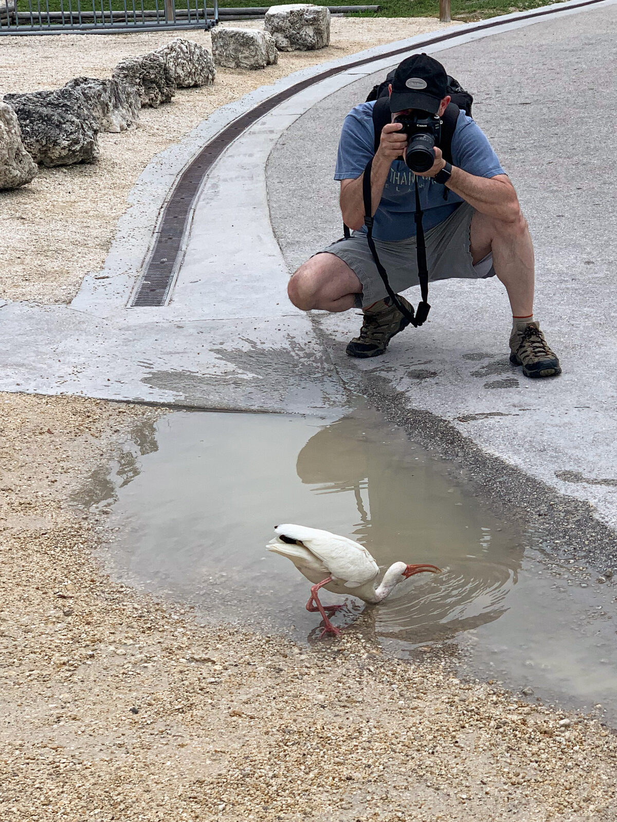 Brad Balfour photographing an ibis near the shoreline